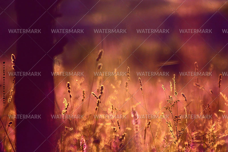 5973938226_69fa23220e_o.jpg