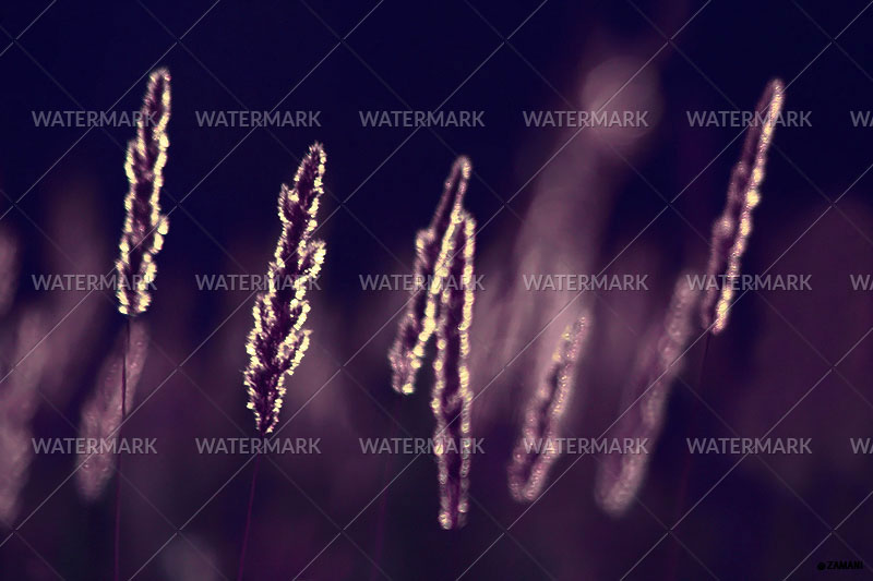 6012430576_66d4a504d9_o.jpg